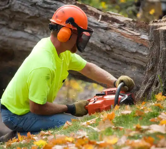 tree services Sandstone